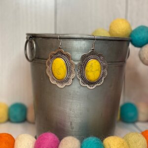 Treasure Navajo Stone Earrings