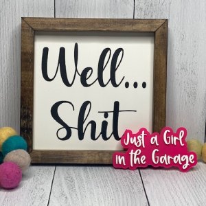 Well Shit